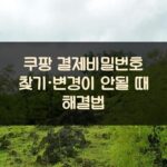 쿠팡 결제비밀번호 찾기·변경이 안될 때 해결법