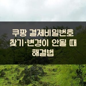 쿠팡 결제비밀번호 찾기·변경이 안될 때 해결법