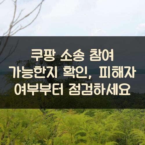 쿠팡 소송 참여 가능한지 확인, 피해자 여부부터 점검하세요