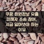 쿠팡 회원정보 유출 피해자 소송 참여, 지금 알아봐야 하는 이유 1 쿠팡 회원정보 유출 피해자 소송 참여, 지금 알아봐야 하는 이유