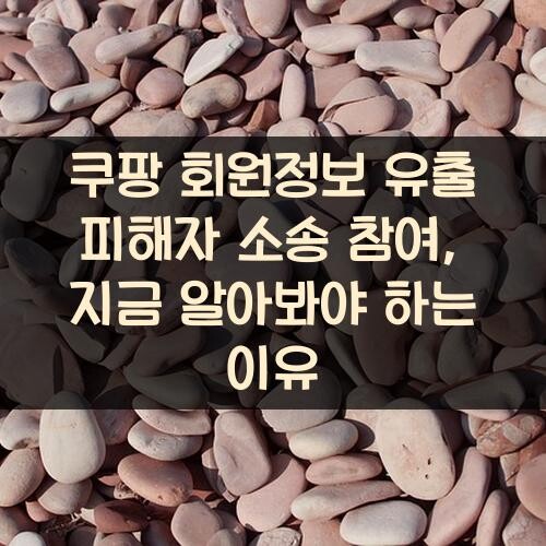 쿠팡 회원정보 유출 피해자 소송 참여, 지금 알아봐야 하는 이유