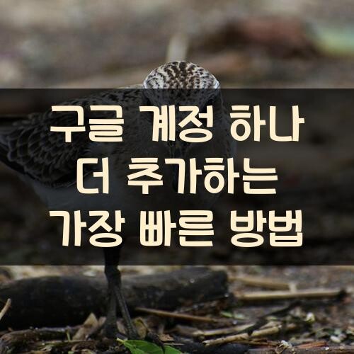 구글 계정 하나 더 추가하는 가장 빠른 방법