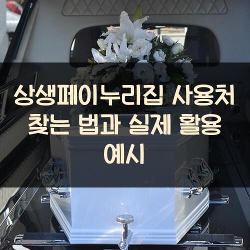 상생페이누리집 사용처 찾는 법과 실제 활용 예시