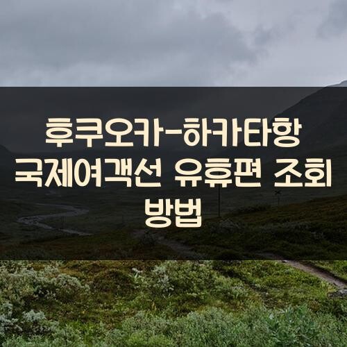 후쿠오카-하카타항 국제여객선 유휴편 조회 방법