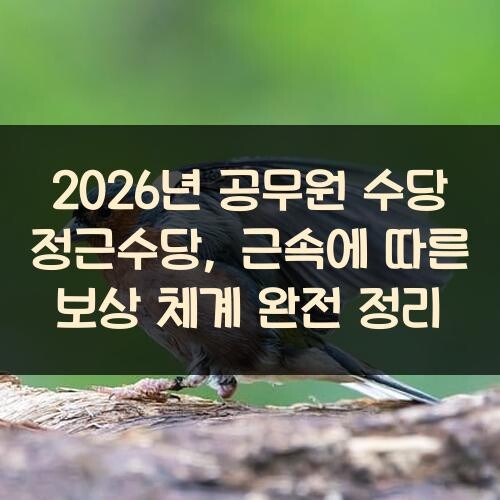 2026년 공무원 수당 정근수당, 근속에 따른 보상 체계 완전 정리