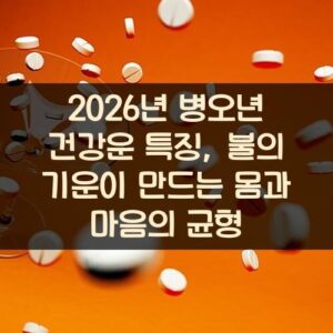 2026년 병오년 건강운 특징, 불의 기운이 만드는 몸과 마음의 균형