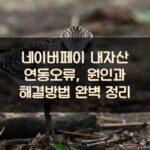 네이버페이 내자산 연동오류, 원인과 해결방법 완벽 정리