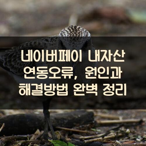 네이버페이 내자산 연동오류, 원인과 해결방법 완벽 정리