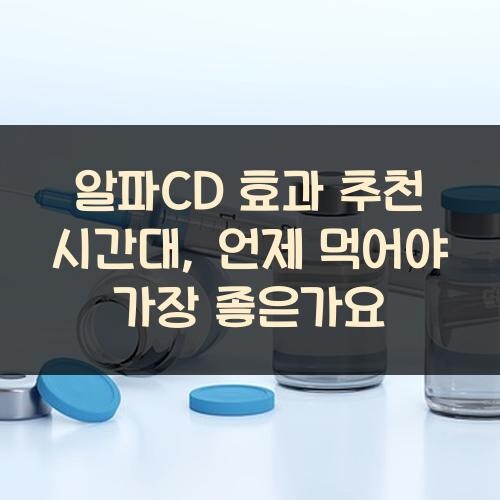 알파CD 효과 추천 시간대, 언제 먹어야 가장 좋은가요