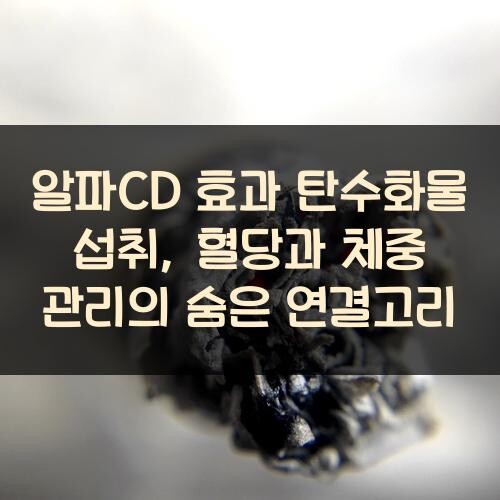 알파CD 효과 탄수화물 섭취, 혈당과 체중 관리의 숨은 연결고리