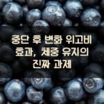 중단 후 변화 위고비 효과, 체중 유지의 진짜 과제