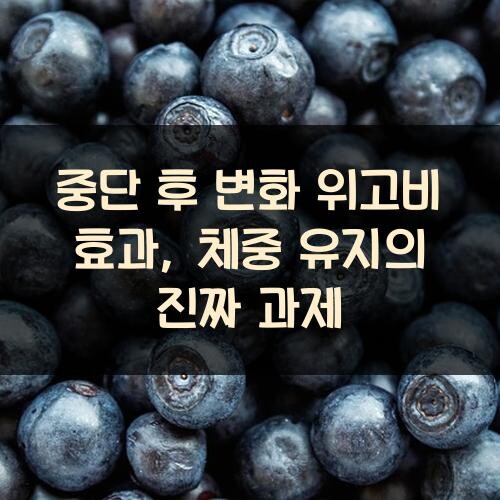 중단 후 변화 위고비 효과, 체중 유지의 진짜 과제
