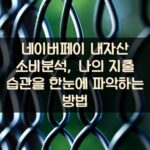 네이버페이 내자산 소비분석, 나의 지출 습관을 한눈에 파악하는 방법