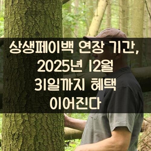 상생페이백 연장 기간, 2025년 12월 31일까지 혜택 이어진다