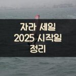 자라 세일 2025 시작일 정리