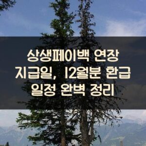 상생페이백 연장 지급일, 12월분 환급 일정 완벽 정리