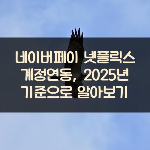 네이버페이 넷플릭스 계정연동, 2025년 기준으로 알아보기