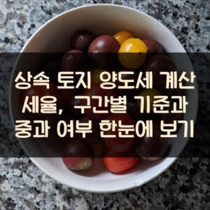 상속 토지 양도세 계산 세율, 구간별 기준과 중과 여부 한눈에 보기