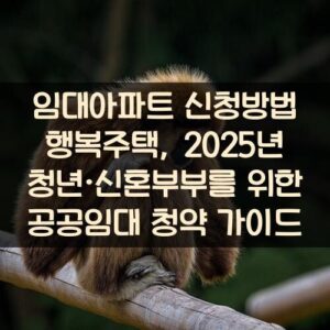 임대아파트 신청방법 행복주택, 2025년 청년·신혼부부를 위한 공공임대 청약 가이드