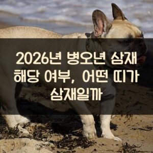 2026년 병오년 삼재 해당 여부, 어떤 띠가 삼재일까?