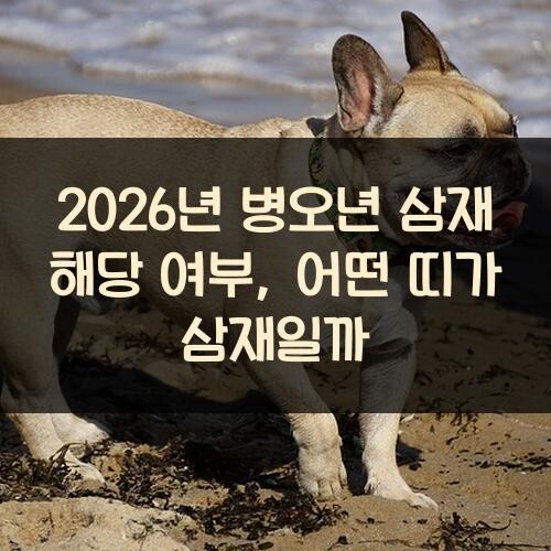 2026년 병오년 삼재 해당 여부, 어떤 띠가 삼재일까?