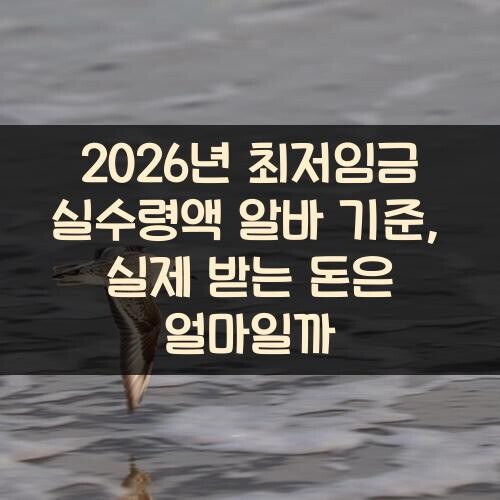 2026년 최저임금 실수령액 알바 기준, 실제 받는 돈은 얼마일까