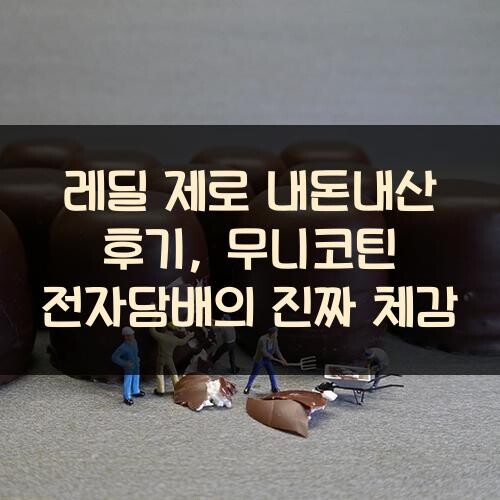 레딜 제로 내돈내산 후기, 무니코틴 전자담배의 진짜 체감