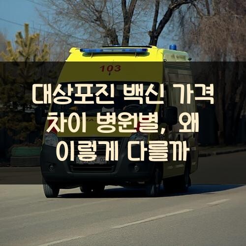 대상포진 백신 가격 차이 병원별, 왜 이렇게 다를까?