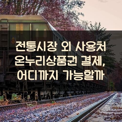 전통시장 외 사용처 온누리상품권 결제, 어디까지 가능할까?