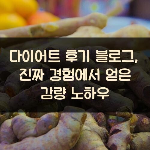 다이어트 후기 블로그, 진짜 경험에서 얻은 감량 노하우