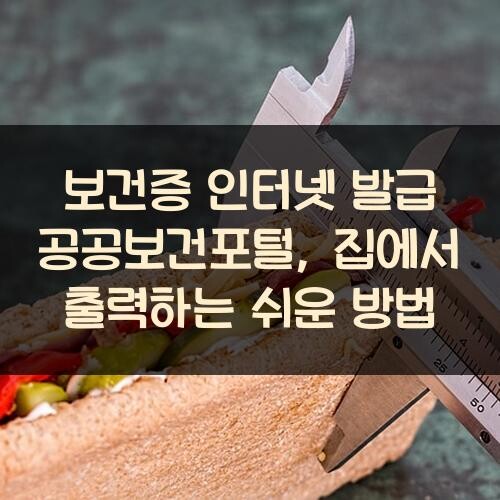 보건증 인터넷 발급 공공보건포털, 집에서 출력하는 쉬운 방법