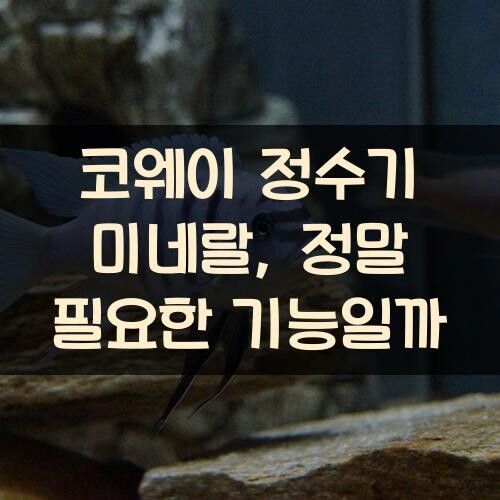 코웨이 정수기 미네랄, 정말 필요한 기능일까?