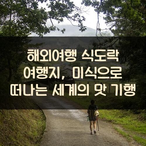 해외여행 식도락 여행지, 미식으로 떠나는 세계의 맛 기행