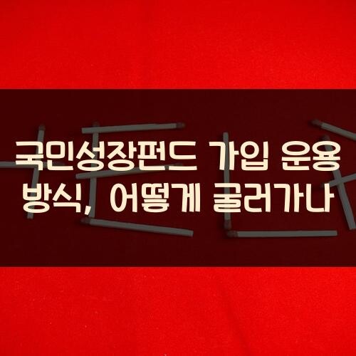 국민성장펀드 가입 운용 방식, 어떻게 굴러가나?