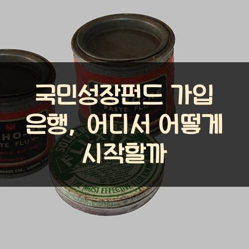 국민성장펀드 가입 은행, 어디서 어떻게 시작할까