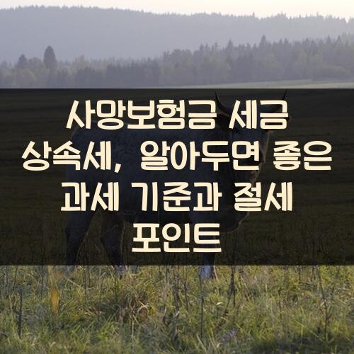 사망보험금 세금 상속세, 알아두면 좋은 과세 기준과 절세 포인트