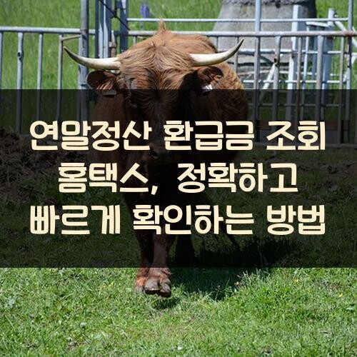 연말정산 환급금 조회 홈택스, 정확하고 빠르게 확인하는 방법