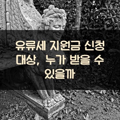 유류세 지원금 신청 대상, 누가 받을 수 있을까?