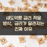 새도약론 금리 적용 방식, 금리가 달라지는 진짜 이유