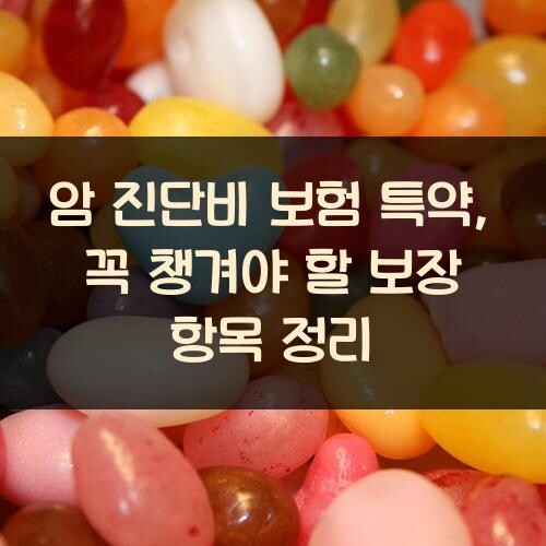 암 진단비 보험 특약, 꼭 챙겨야 할 보장 항목 정리