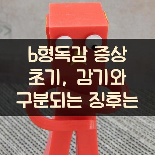 b형독감 증상 초기, 감기와 구분되는 징후는?