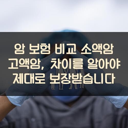 암 보험 비교 소액암 고액암, 차이를 알아야 제대로 보장받습니다