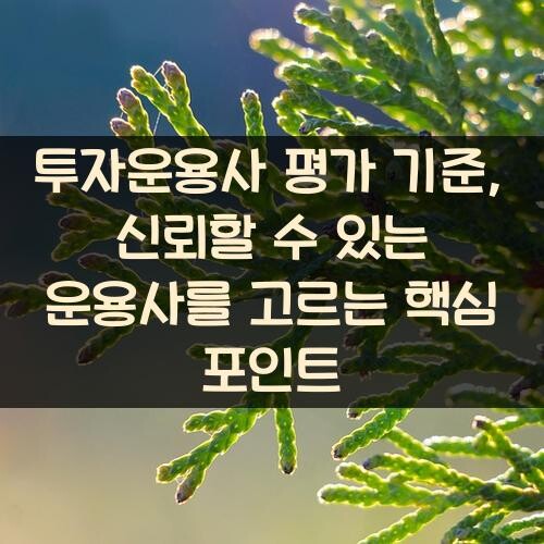 투자운용사 평가 기준, 신뢰할 수 있는 운용사를 고르는 핵심 포인트