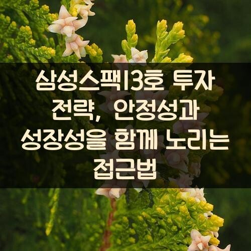 삼성스팩13호 투자 전략, 안정성과 성장성을 함께 노리는 접근법